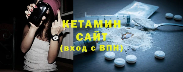 индика Новозыбков