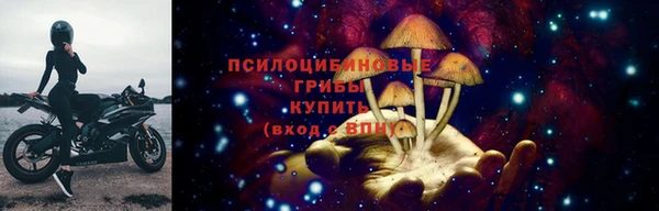 винт Няндома