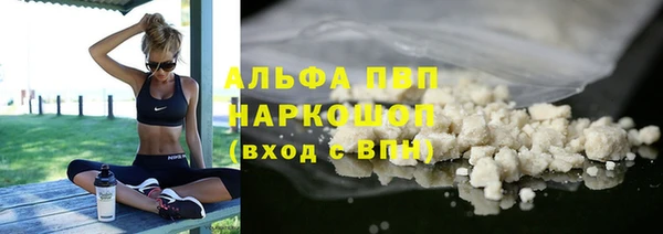 винт Няндома