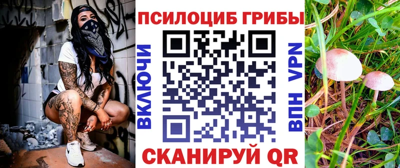 Псилоцибиновые грибы ЛСД  Балабаново 
