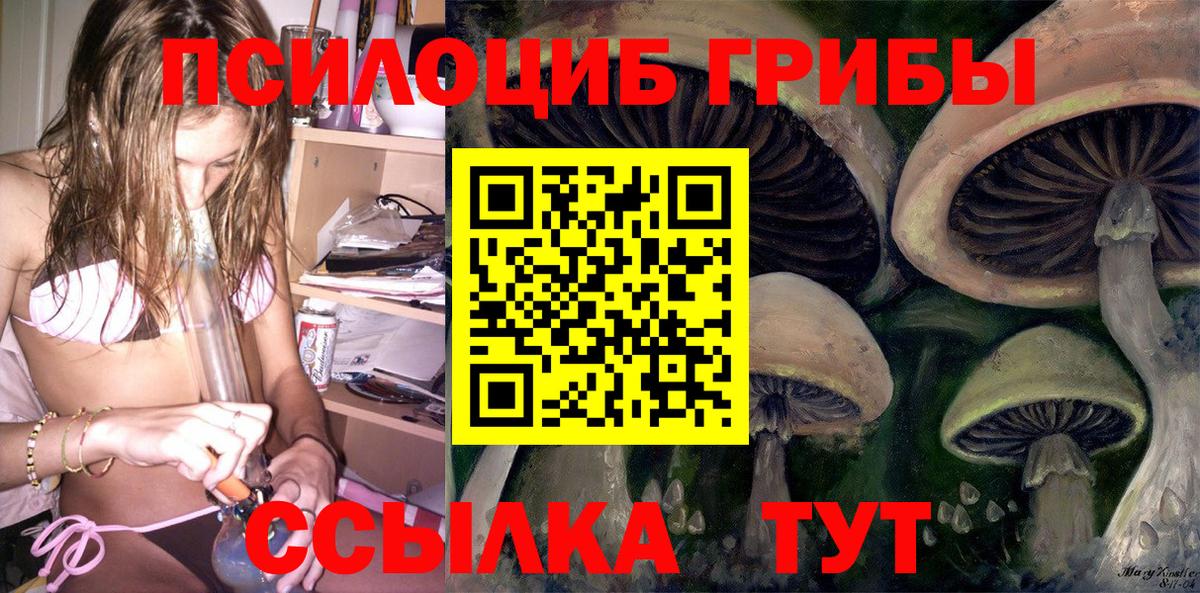 Галлюциногенные грибы прущие грибы Балабаново