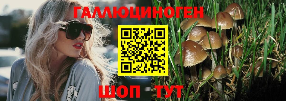 Балабаново  Галлюциногенные грибы MAGIC MUSHROOMS  Вход с VPN 